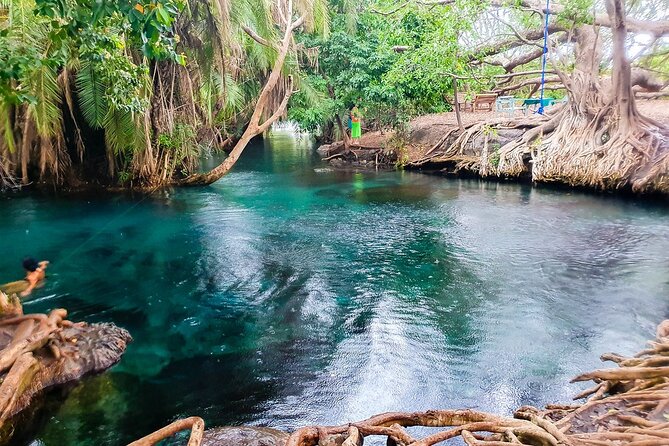 Kikuletwa Springs (alternative)