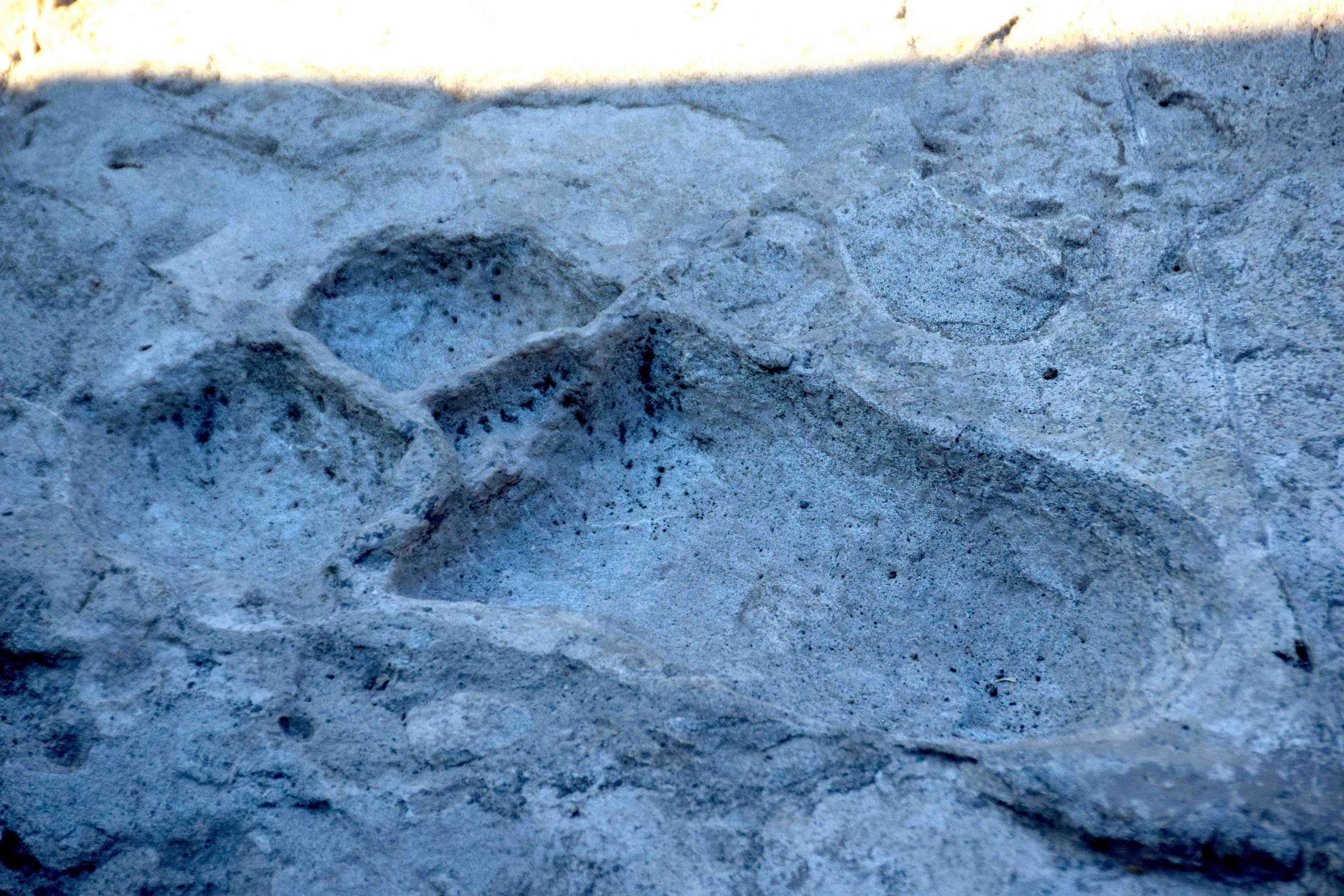 Laetoli Footprints