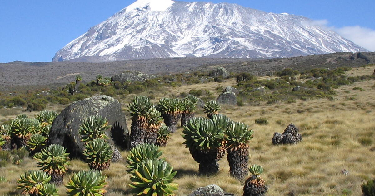 Kilimanjaro Summit Routes