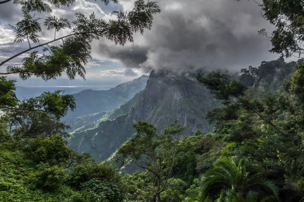 Amani Nature Forest Reserve