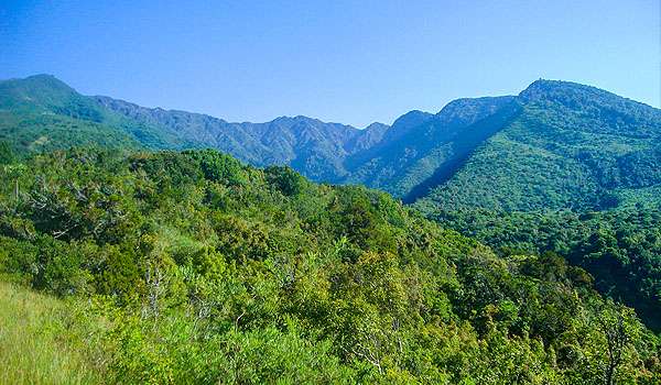 West Chenene Forest Reserve