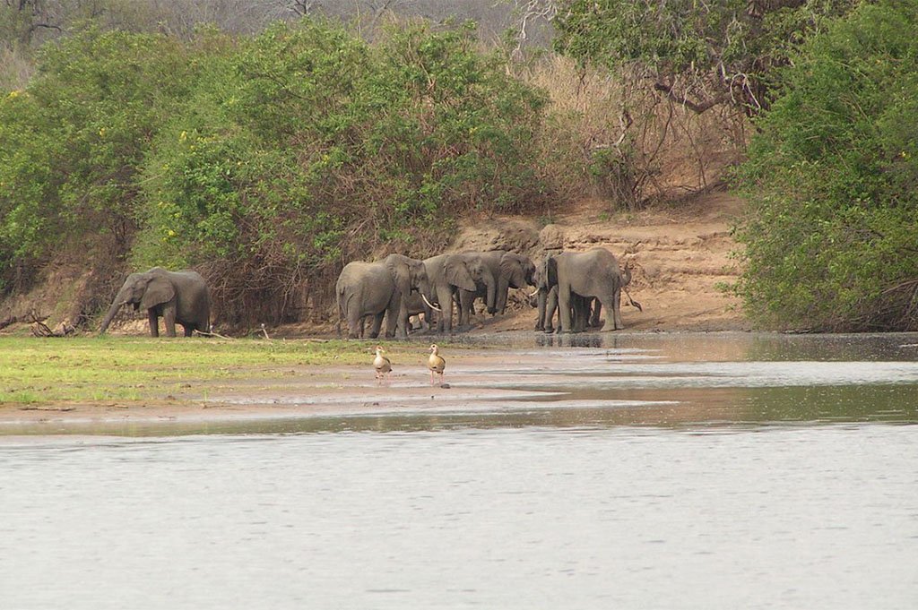 Swaga Swaga Game Reserve