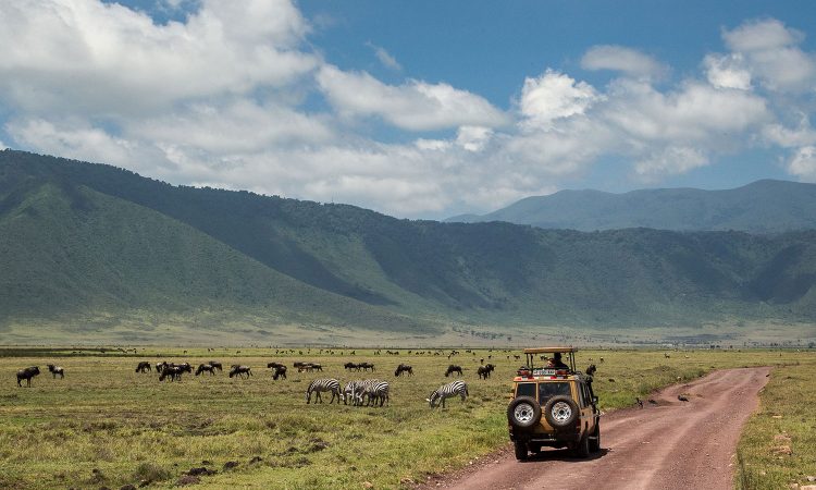 Ngorongoro Conservation Area