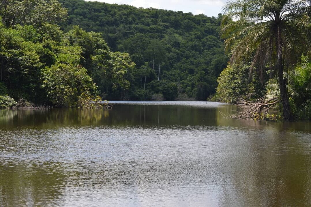 Kazimzumbwi Forest Reserve