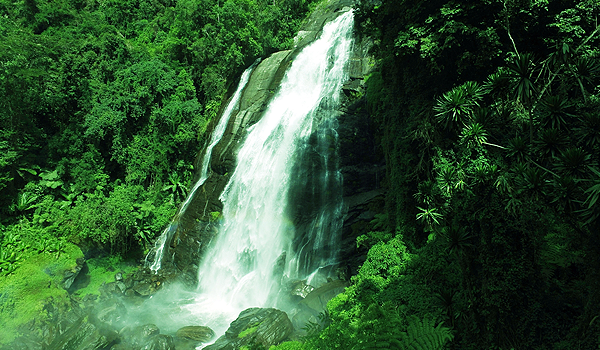 Uluguru Nature Forest Reserve