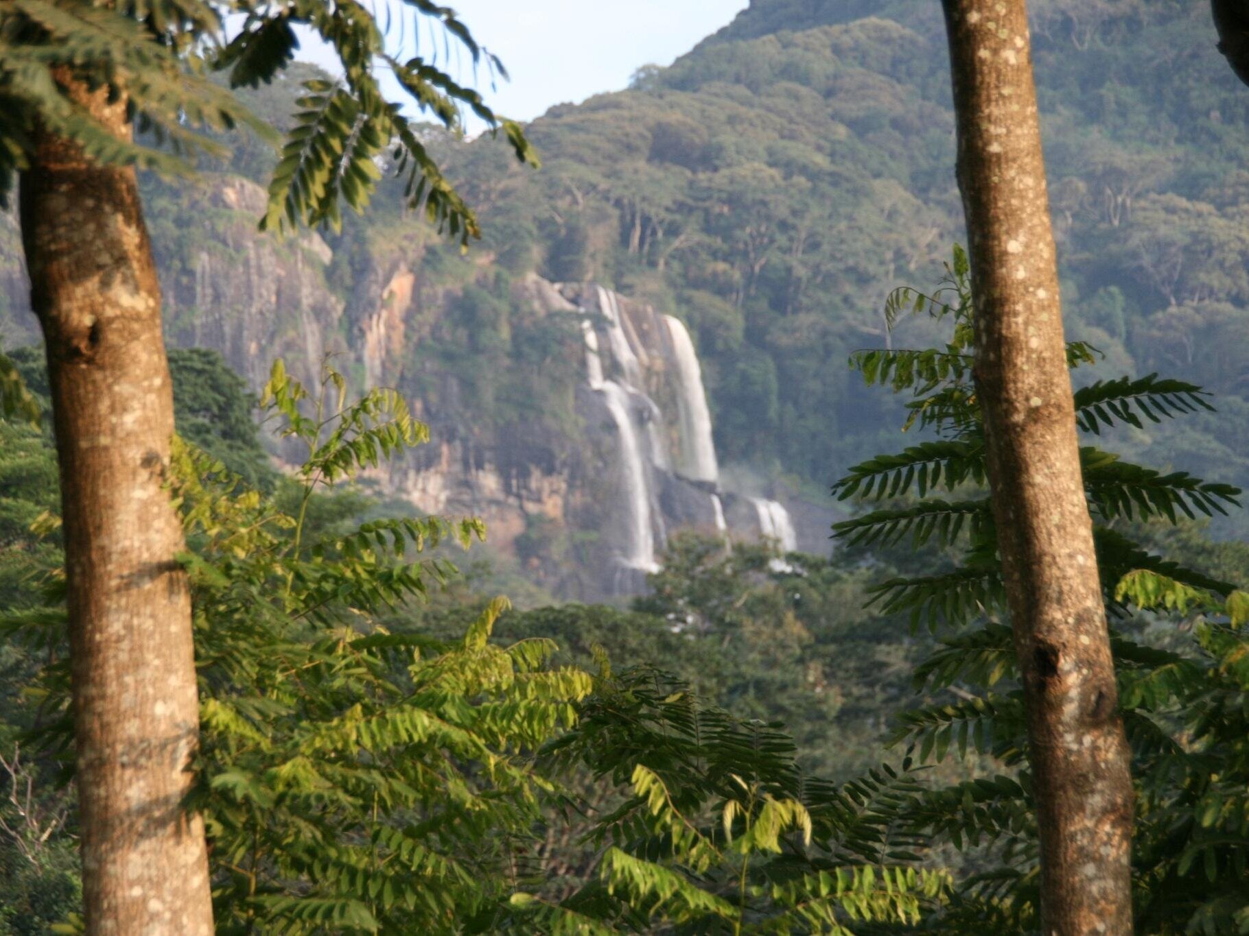 Udzungwa Scarp Nature Forest Reserve