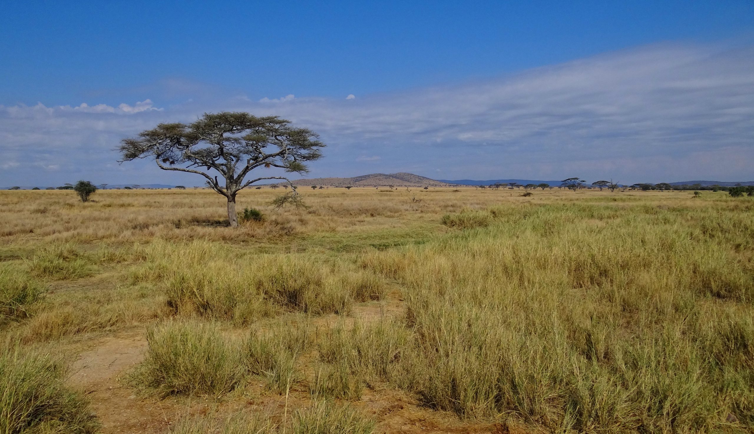 Kijereshi Game Reserve