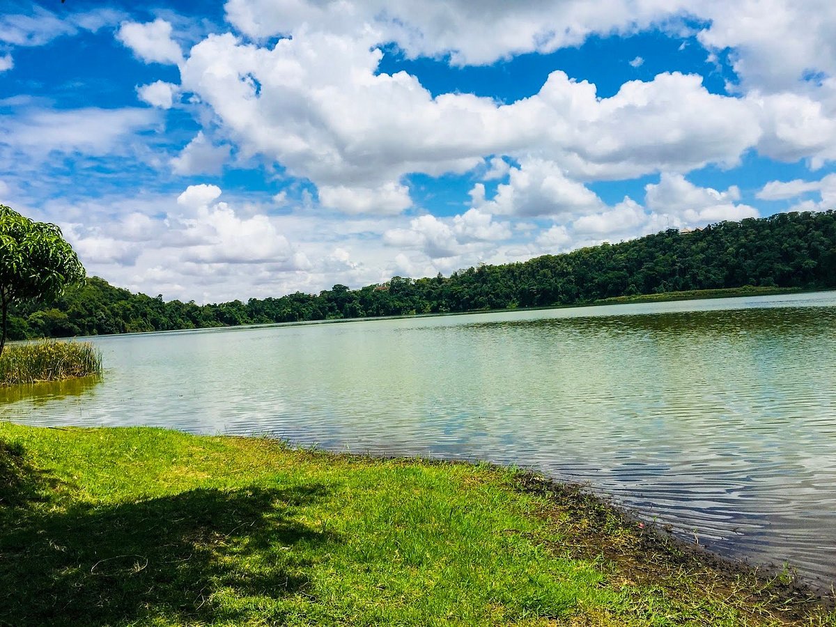 Lake Duluti Forest Reserve