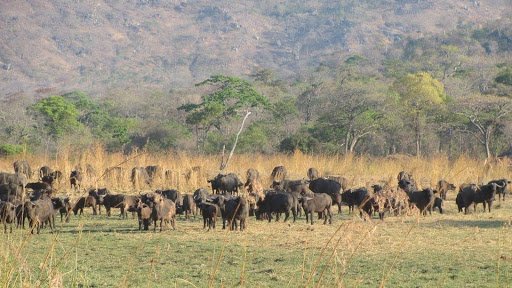 Lukwati Game Reserve