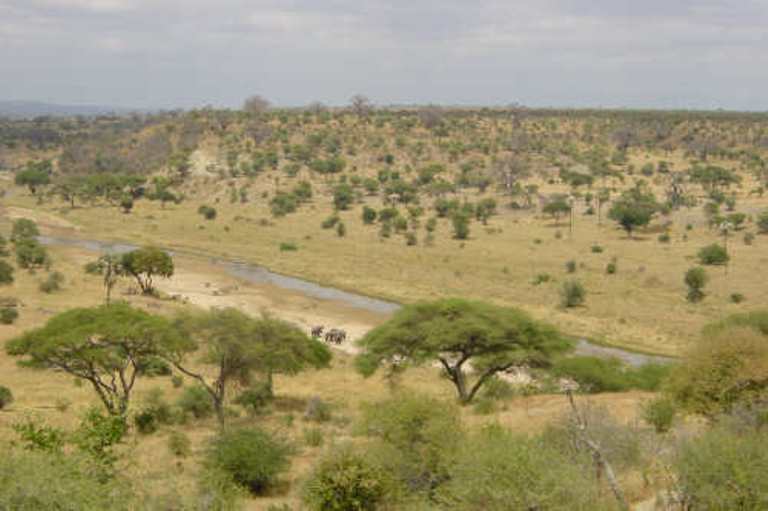 Mkungunero Game Reserve