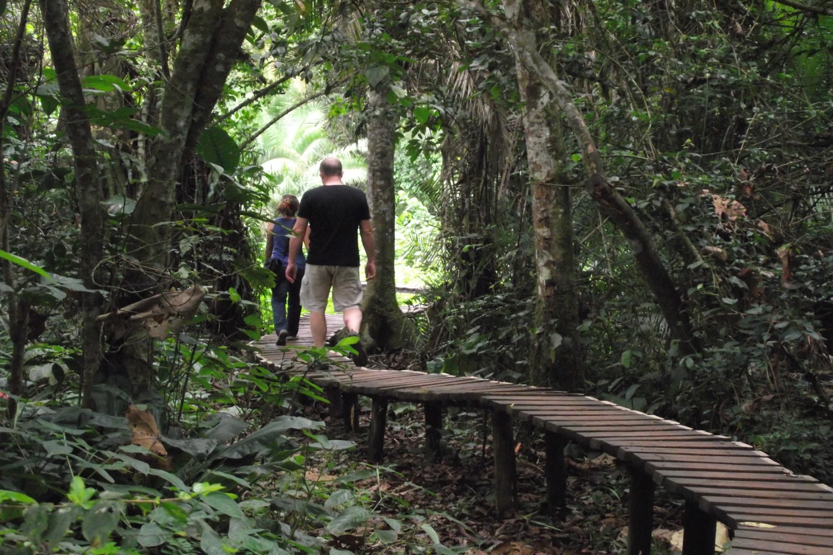 Biharamulo Forest Reserve