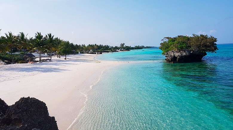 Pemba Island woodlands.