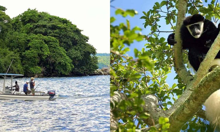 Rubondo Island National Park