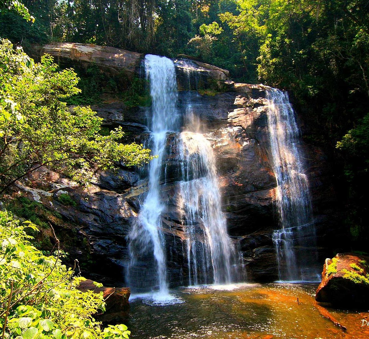 Udzungwa Mountains National Park
