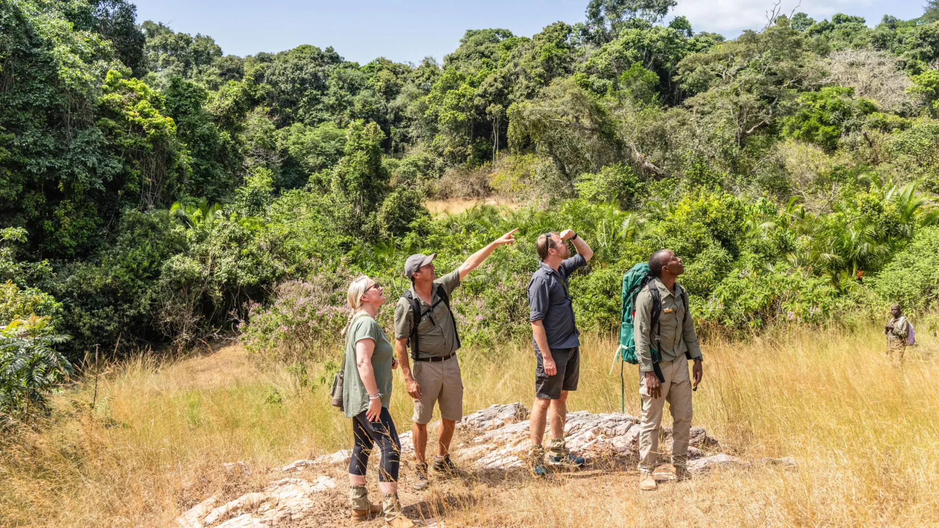 Rubondo Island Birding & Forest Walks — 4 Days