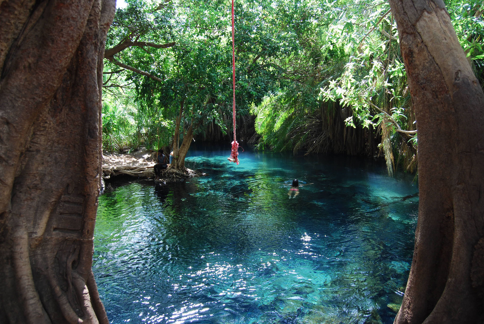 Materuni Falls & Kikuletwa Springs — 2 Days