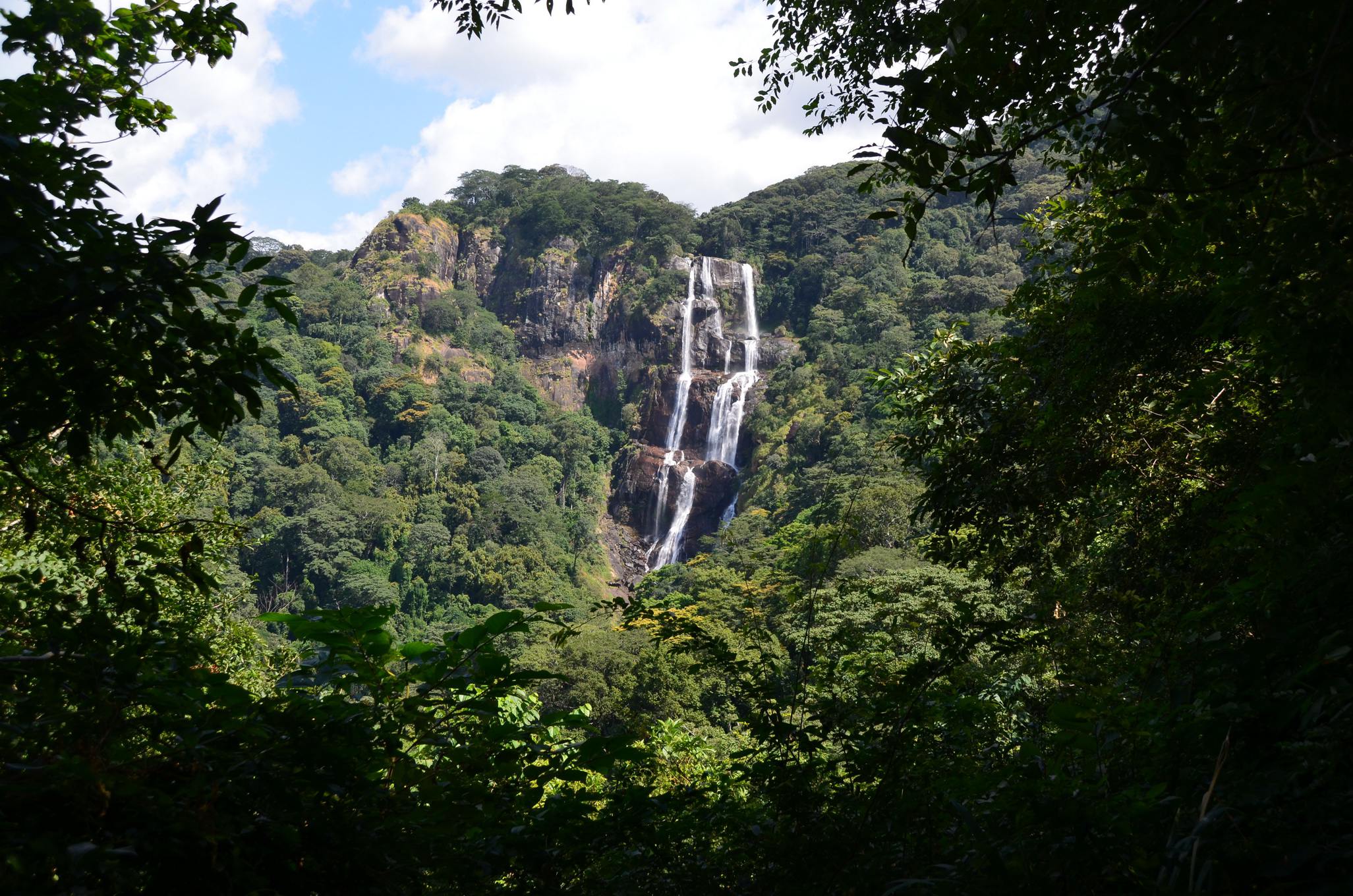 Mikumi & Udzungwa Circuit — 4 Days