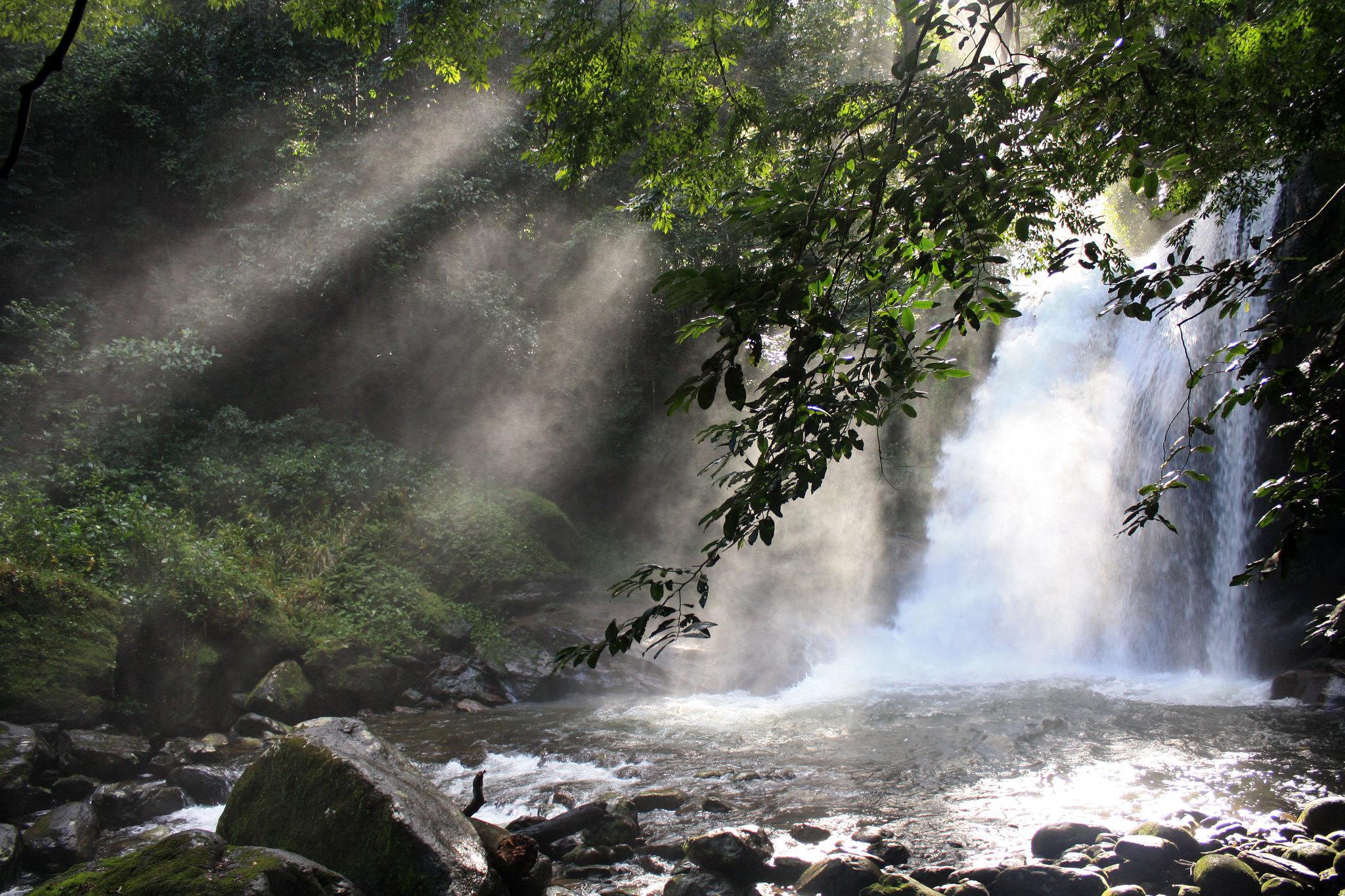 Udzungwa Primate & Waterfalls — 3 Days