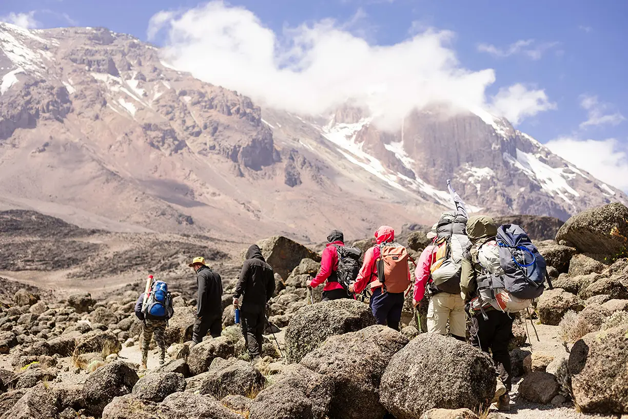 Kilimanjaro Summit Trek — 8 Days (Machame)