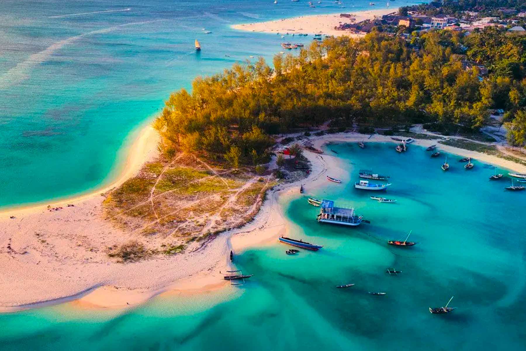 Mafia Island Dive & Safari — 4 Days