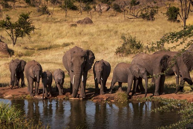 Classic Northern Safari — 7 Days